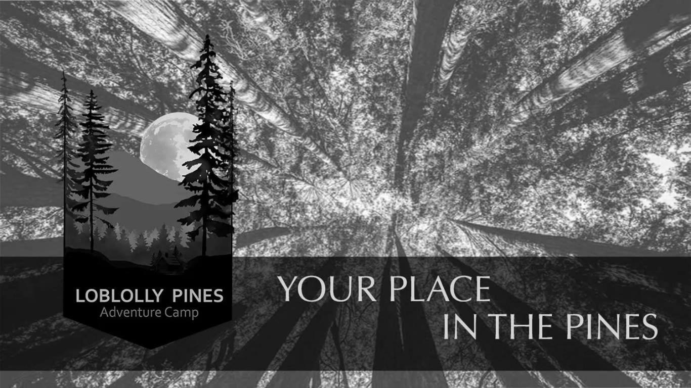 Loblolly Pines #3 Adventure Aframe Eureka Springs Exterior foto